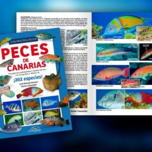 Guia de Peces