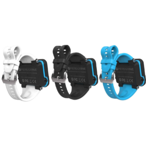 Shearwater Correa Para Peregrine